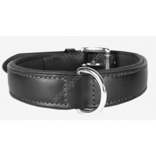 Plain Padded  Leather Dog Collar Chrome fittings: Black